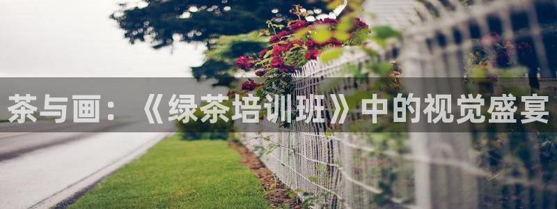 91漫画网址韩漫：茶与画：《绿茶培训班》中的视觉盛宴